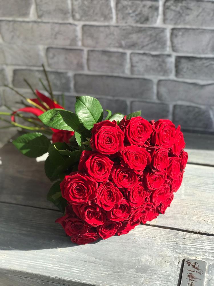 Букет Красные розы Фридом в Сторожевой