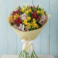 Букет цветов из:  Альстромерии в Сторожевой
