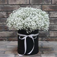 Цветочная композиция из Гипсофила в шляпной коробке в Сторожевой